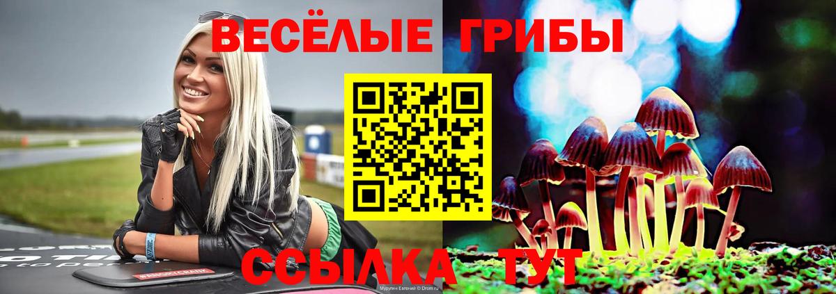 Псилоцибиновые грибы Psilocybe Артёмовский